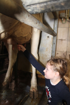 Boerderijklassen deel 1_33