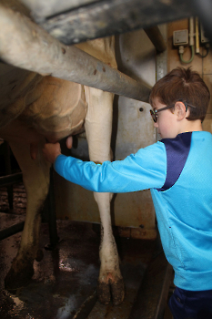 Boerderijklassen deel 1_34