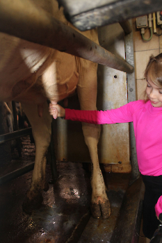 Boerderijklassen deel 1_35