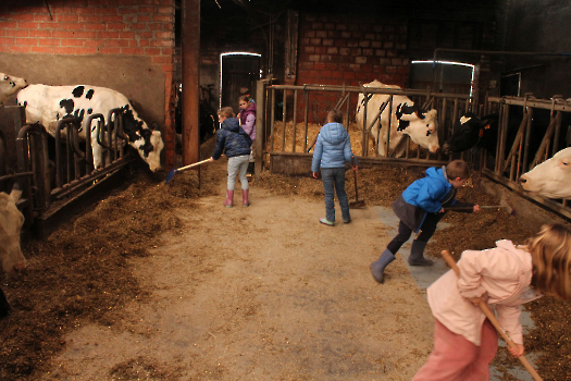 Boerderijklassen deel 2_10