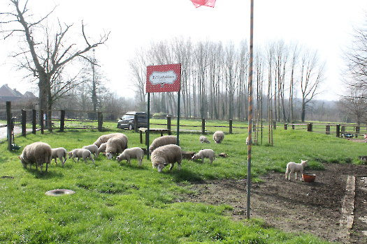 Boerderijklassen deel 2_123