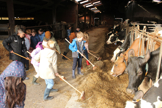 Boerderijklassen deel 2_12