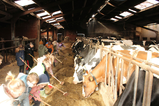 Boerderijklassen deel 2_13