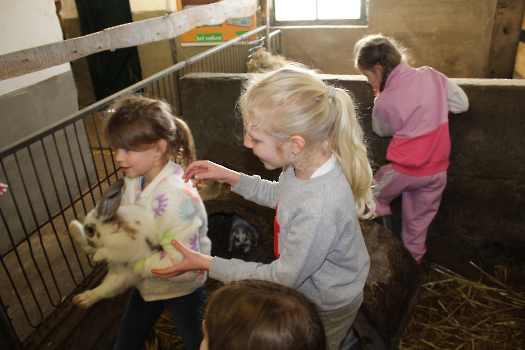 Boerderijklassen deel 2_41